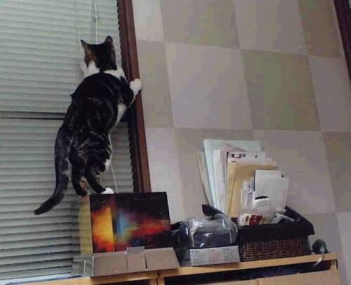 “英超争夺战失误频发，榜首格局摇摆不定”，“英超”