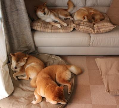 葡萄牙骑手玛丽亚·卡埃塔诺在2024年葡萄牙盛装舞步锦标赛中获得个人赛第四名,展现坚韧精神。