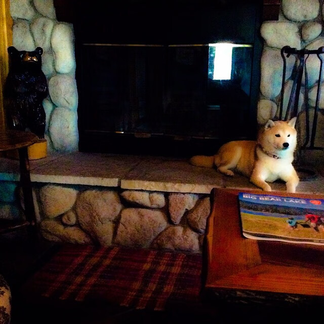 -卡迪夫城无缘顶级联赛，球队状态低迷难以扭转，重返英超渺茫，卡迪夫城俱乐部