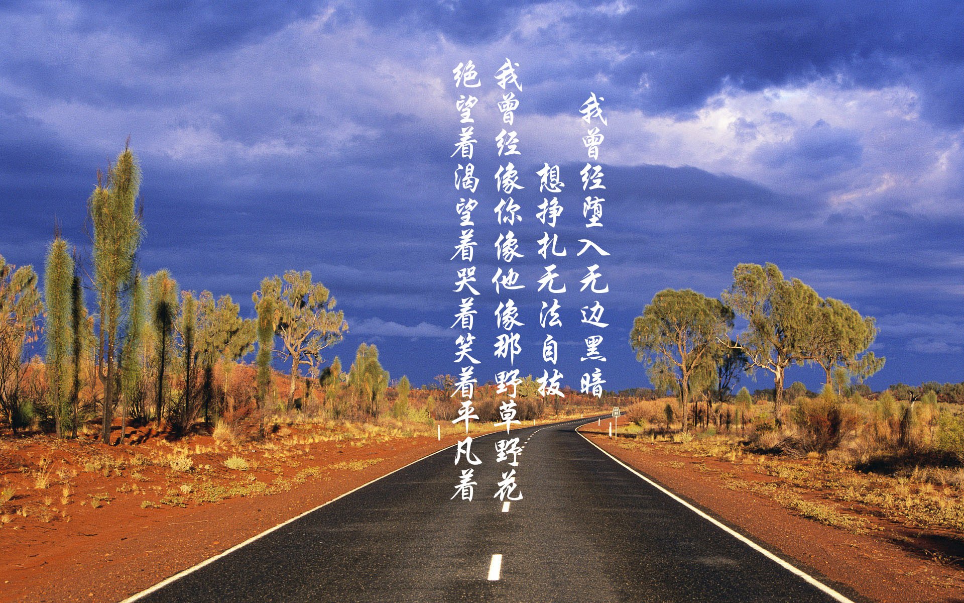 九游网页版入口-埃因霍温主帅赛后精彩发言，球队士气高涨备战，埃因霍温 主教练