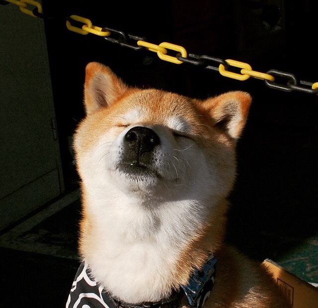 射手场均射门次数排名联赛前列,射手比赛