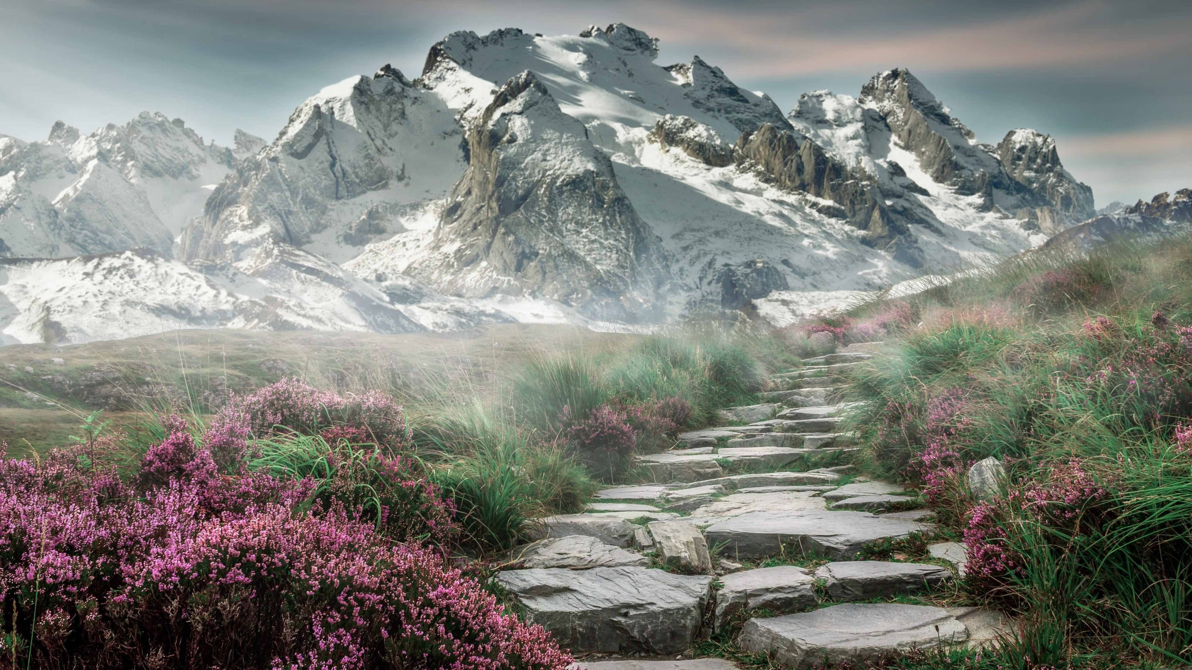 澳大利亚队领先阿曼队，晋级世界杯预选赛次轮，澳大利亚对阵阿曼