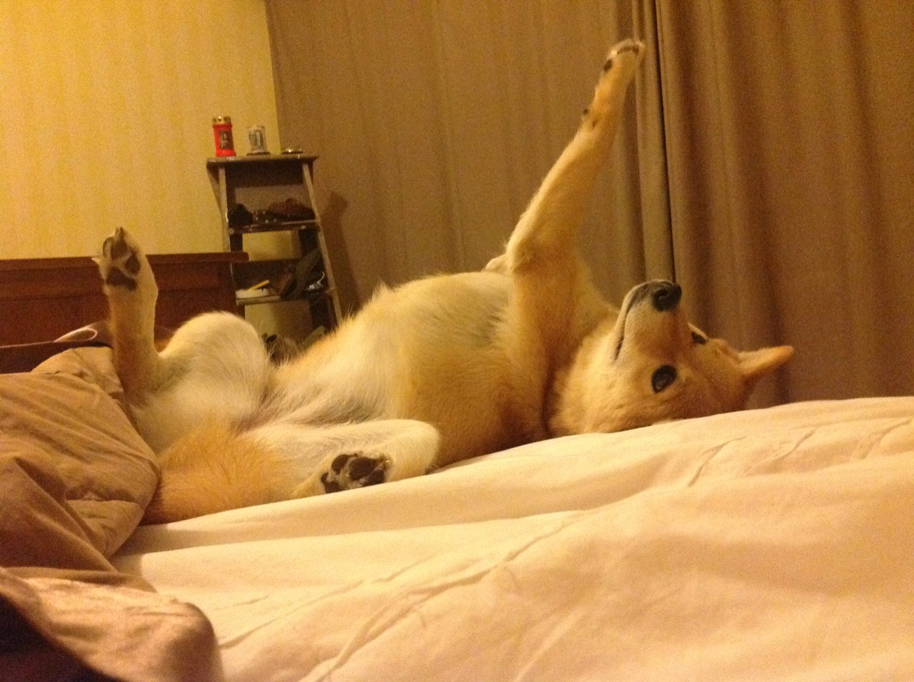 九游(jiuyou)官方网站-皇家社会主场失利，西甲联赛冠军竞争激烈，西甲皇家社会队