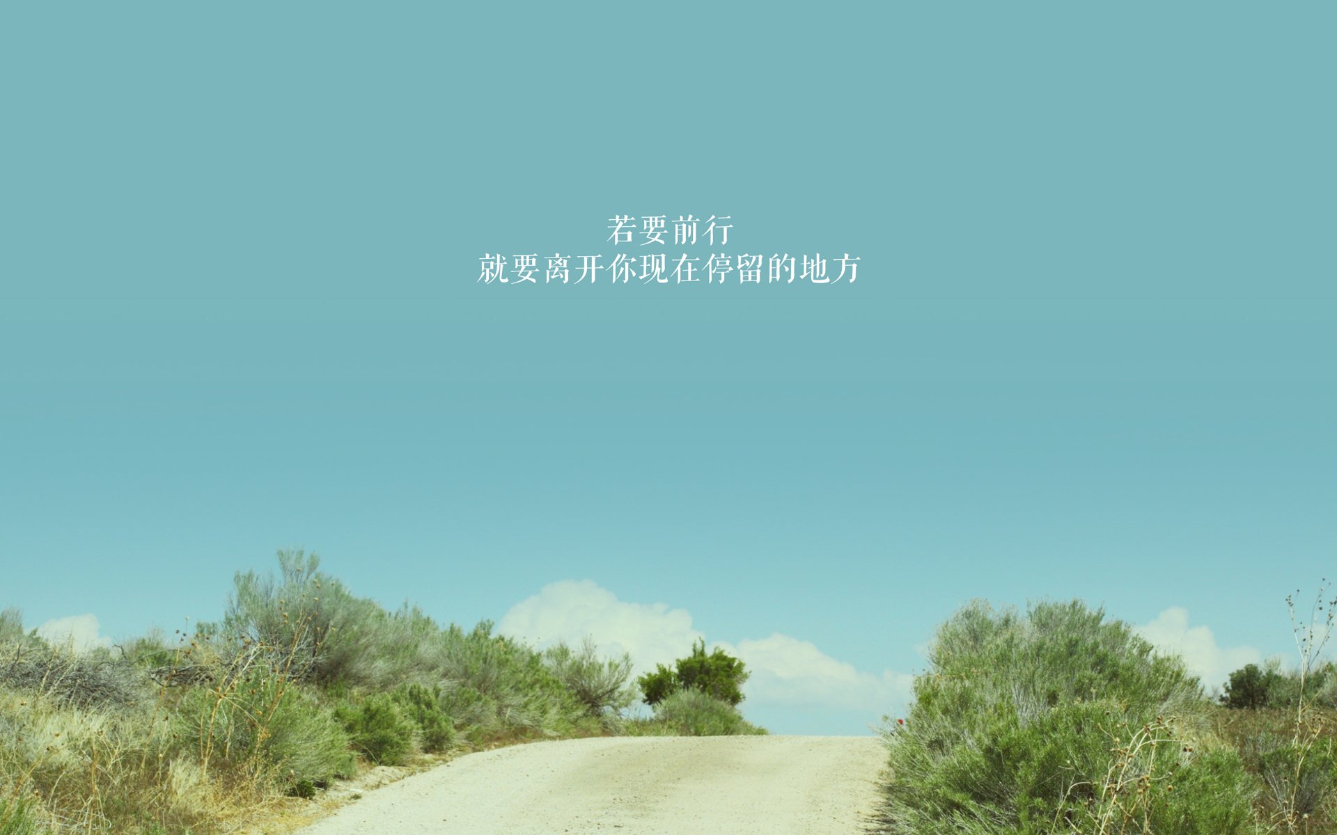 西布朗维奇主场大胜汉姆联,球队四连胜,近期表现实力突显,西布朗vs西汉姆联