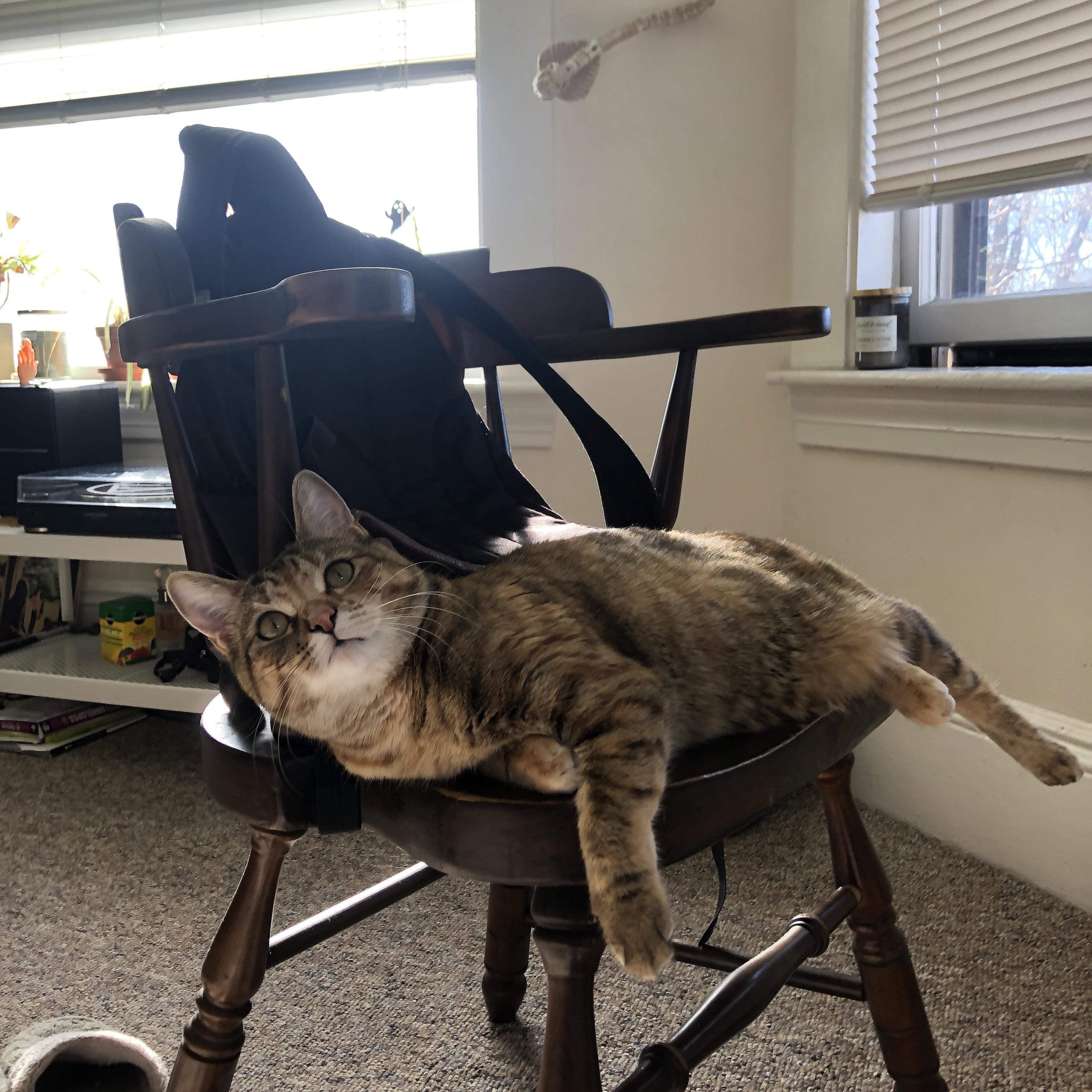 九游9游-马赛队球员士气高涨，冲击联赛榜首，马赛队史著名球星