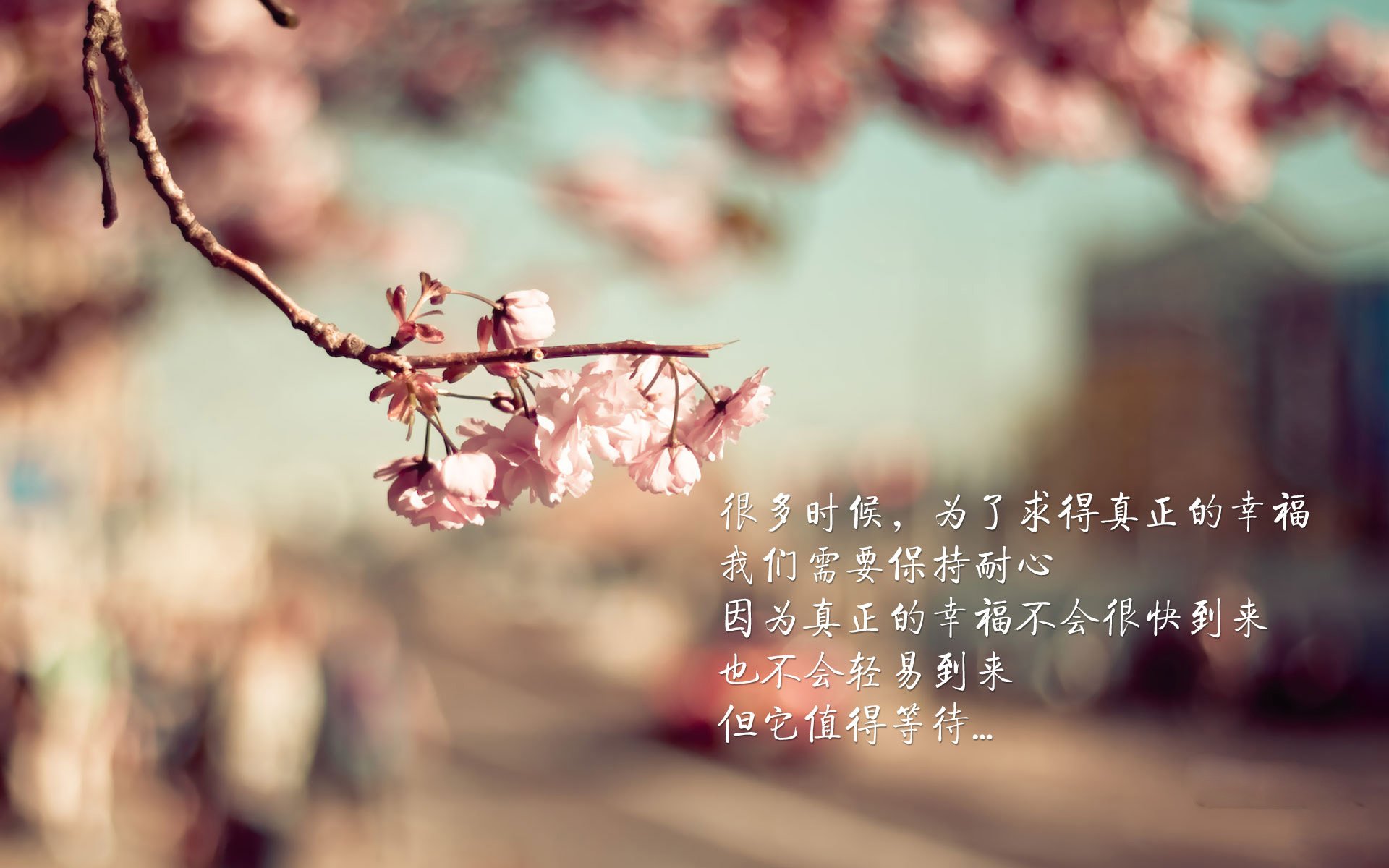 中国青少年篮球发展区域差异及均衡发展策略研究,《中国青少年篮球训练教学大纲》