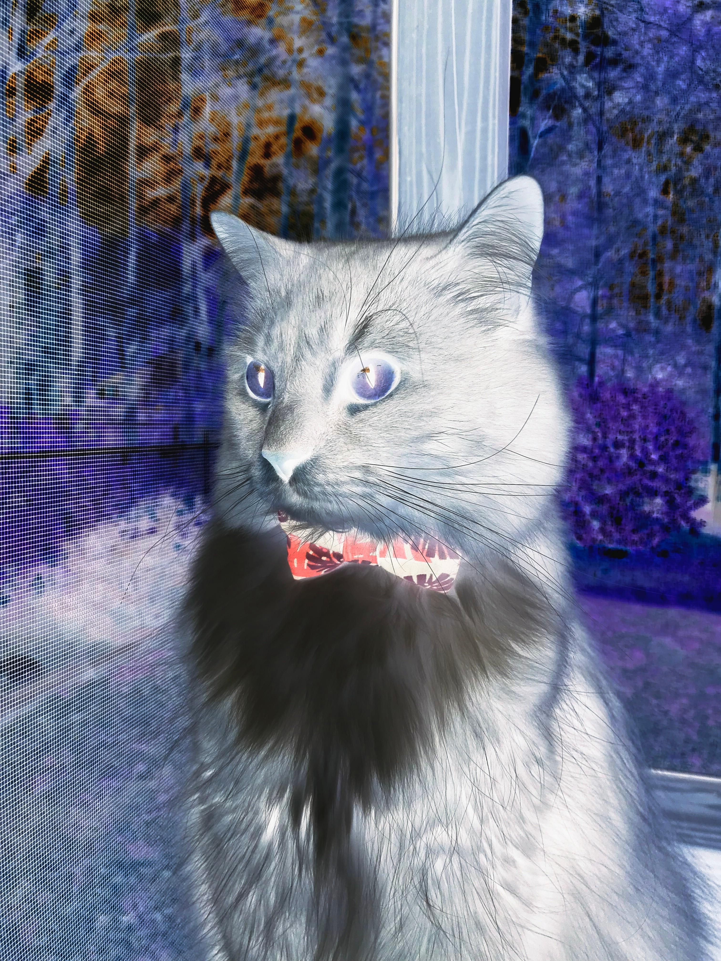 九游-西甲冠军悬念：皇马挑战巴萨的终极对决，西甲皇马对巴萨比赛视频