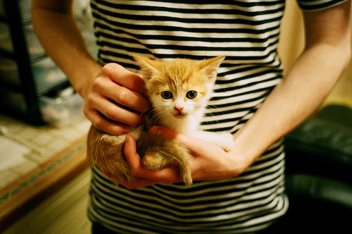 体育新闻中心发布智能体育赛事分析平台，10.21.6.21体育智能化系统