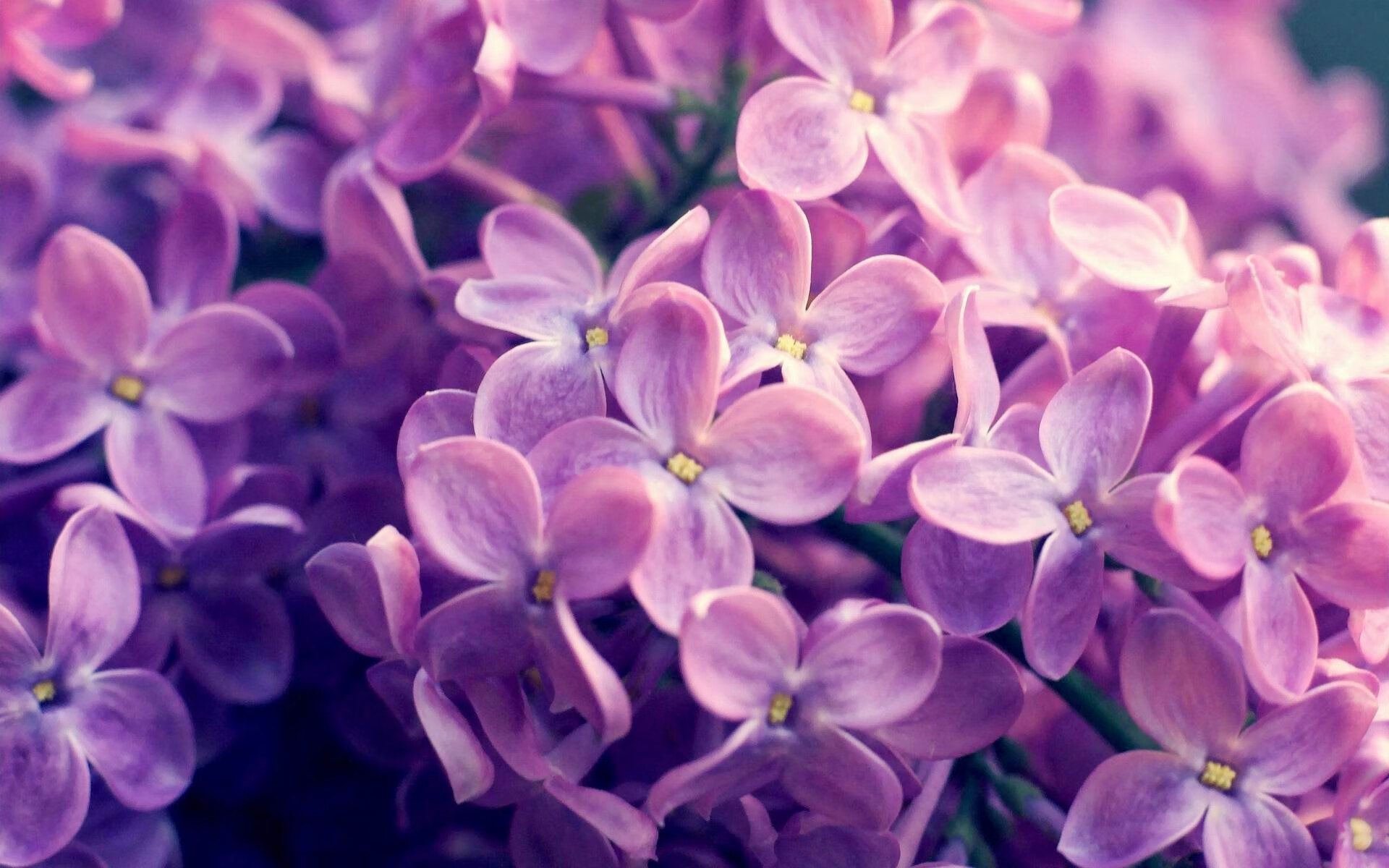 球员职业规划缺乏科学指导，目标职业欠缺了能力