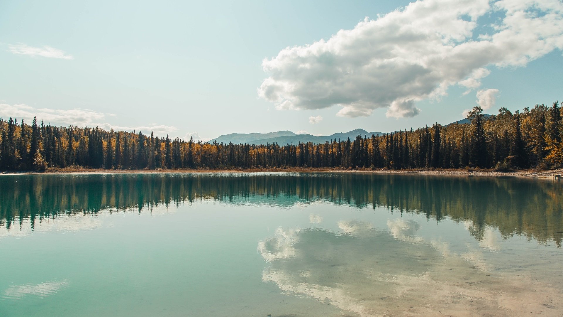 万乐天女子50米仰泳决赛夺冠有望,万乐天女子50米仰泳摘铜