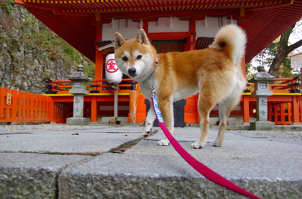 九游网页版官网-中国足球职业俱乐部推动球员科学饮食管理，足球运动员饮食自律
