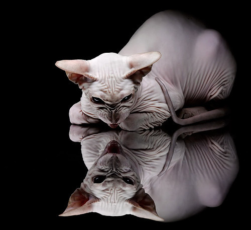 羽毛球大师赛男单对决火药味十足,羽毛球大师赛2019直播