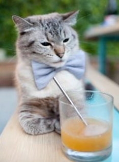 九游网页版官网入口-职业联赛推动医疗合作项目为球员提供赛季保障，足球赛事医疗保障方案